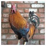 Estate sale in Orange, CA Modern Furniture Collectibles Housewares Etc.SUNDAY 50% OFF ALL MUST GO!