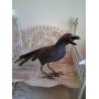 Estate Sale Santa Ana CA Antiques Primitives Furniture Clothing Collectables Friday 10am