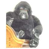Gorilla