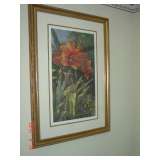 Amaryllis by Scholze