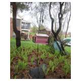 Bird feeders and antique wheel barrow.