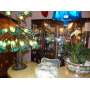 Estate Auction Full of Antiques, Furniture, Bronze, Tiffany Style Lamps, Glassware and MUCH More!