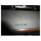 Remington Nylon 66 w/Tasco Scope
