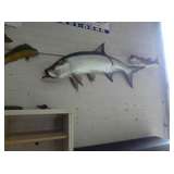 Mounted Fish