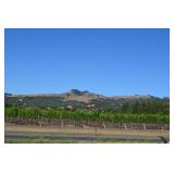 A 2 day Fairfield Sale in Green Valley