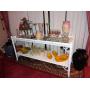 "Tarpon Springs" Large 3 Bedroom Estate Sale Extended 1 more day 75% off