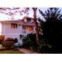 "Tarpon Springs" S Pointe Alexis Large 3 Bedroom Home Estate Sale