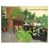 artificial plants