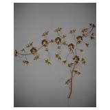 wall sculpture light