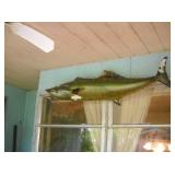 PATIO FISH