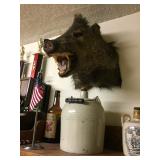 Available for pre-sale (714) 499-4199