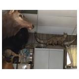 Available for pre-salel (714) 499-4199