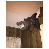 Available for pre-sale (714) 499-4199