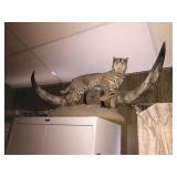 Available for pre-sale (714) 499-4199