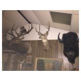 Available for pre-salel (714) 499-4199