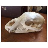 Available for pre-sale ( 714) 499-4199