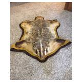 Available for pre-sale (714) 499-4199