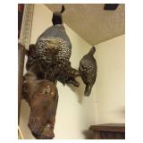 Available for pre-sale (714) 499-4199