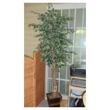       Artificial Ficus 7