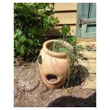 Hen & Chicks Planter