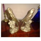 Brass Parakeets
