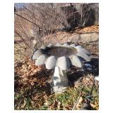 Birdbath