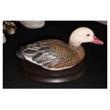 Snow Goose signed by artist Hai Fang Ma