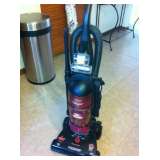 Bissel Cleaner