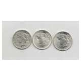 Silver Dollar Coins
