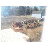 Fire Wood