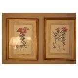 pair of hand colored engravings 
