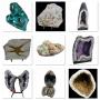 Online Rock & Fossil Clearance Auction