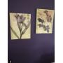 BEAUTIFUL ROCHESTER HILLS MOVING SALE