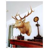 Large Stuffed Elk Head