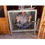 When employess misbehave!!