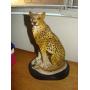 Sun City Estate Sale