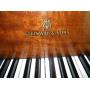 Steinway