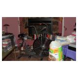Schwinn AIRBIKE