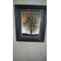 MODERN FURNITURE & APPLIANCE EXTRAVAGANZA ESTATE SALE BY ALAMO AZTEK ESTATE SALES