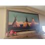 50% OFFCOWBOYS LIKE US WESTERN NATIVE AMERICAN FURNITURE ESTATE SALE BY ALAMO AZTEK ESTATE SALES DFW