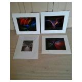 Beautiful signed photography