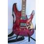 Schecter Electric Guitar