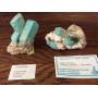 Southeast Tucson Online Auction