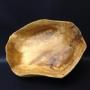 Thanksgiving Week Auction Special