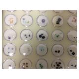Precious Stones & Glass Display Case