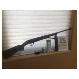 BB Gun