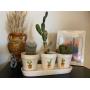 "Beautiful Assortment of Treasures at the Presley Home!"