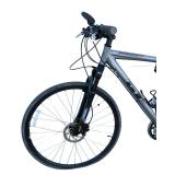Large GT Transeo 4.0 EO Hybrid Bicycle - Aluminum Frame, Disc Brakes