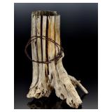 Unique Saguaro Cactus Skeleton & Barbed Wire Rustic Desert Decor Centerpiece