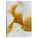 Signed Modern Figurative Nude Canvas Print, Edition 1/6 - 16x10